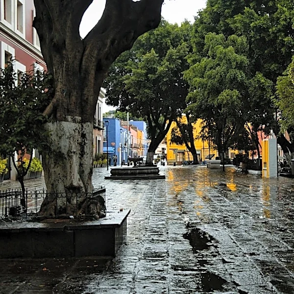 Heavy Rain and Flood Watch Issued for DC Region Due to Isaias