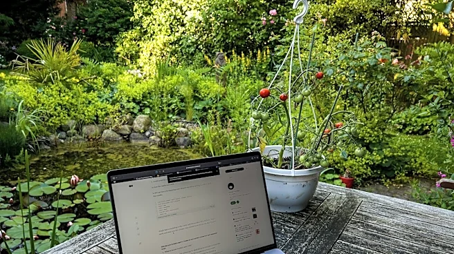 Frost Prediction Tool Aids Gardeners Nationwide