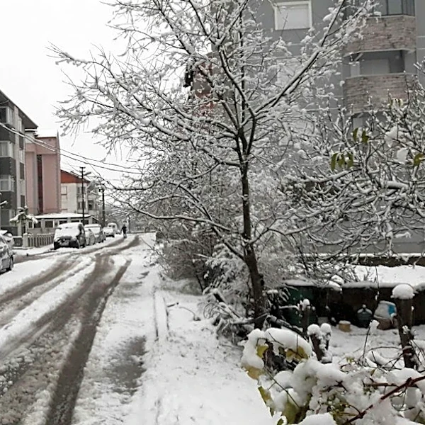 Snow Storm Preparedness Checklist Released