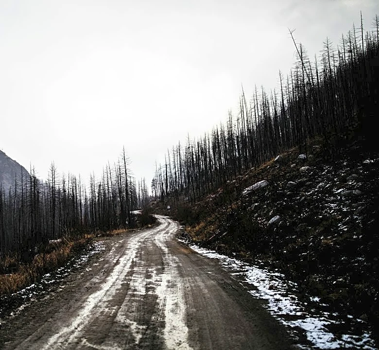 Winter Weather Advisory: Snow and Winds in Montana