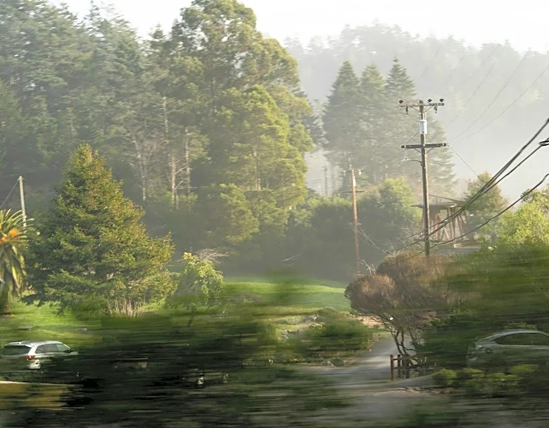 Isaias Causes Power Outages and Heavy Rain Across Southeastern U.S.