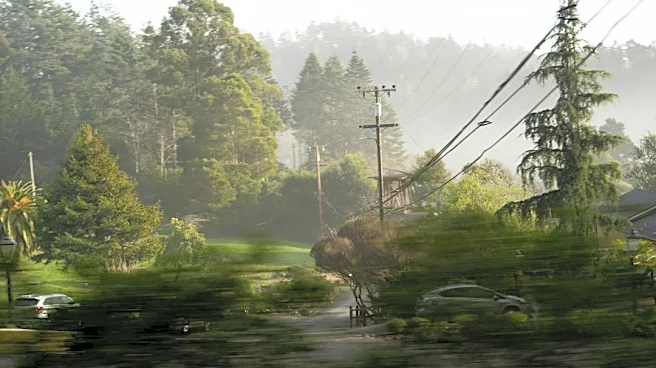 Isaias Causes Power Outages and Heavy Rain Across Southeastern U.S.
