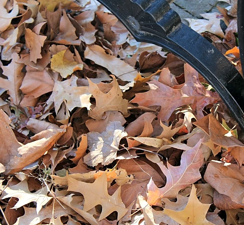 How to Prepare Your Home for Fall Weather