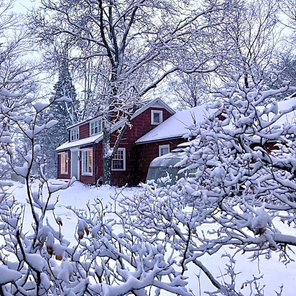 Farmington, NM: Warmer Winter Forecasted for 2027
