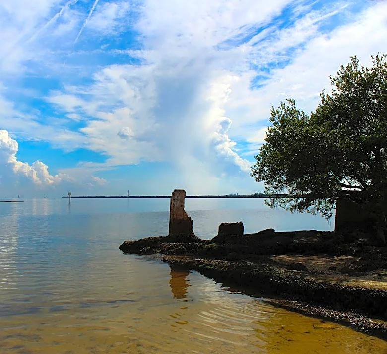 Tampa Bay Marine Conditions Improve This Week