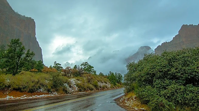 Flash Flood Warning in Zion National Park Area