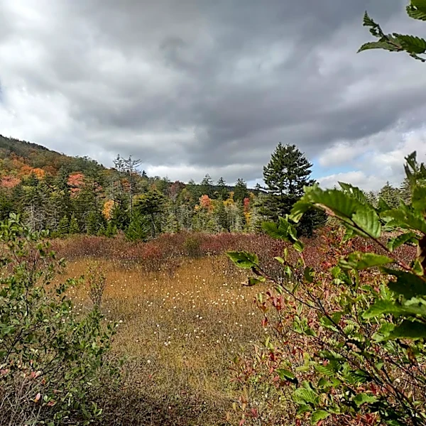 Drought Worsens in West Virginia, Monitoring Urged