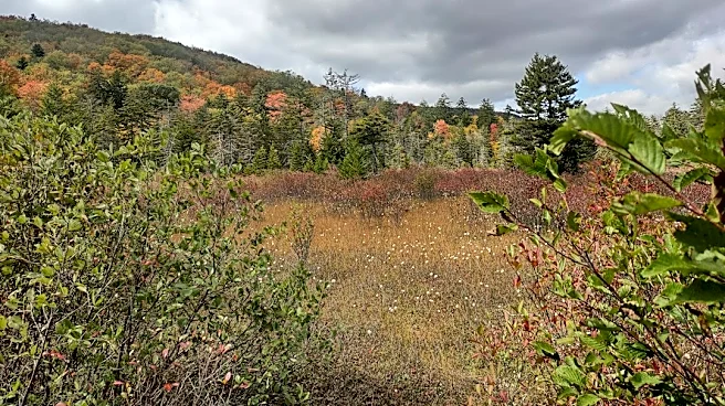 Drought Worsens in West Virginia, Monitoring Urged