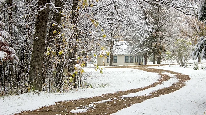 Super El Niño to Bring Warmer Winter to Minnesota