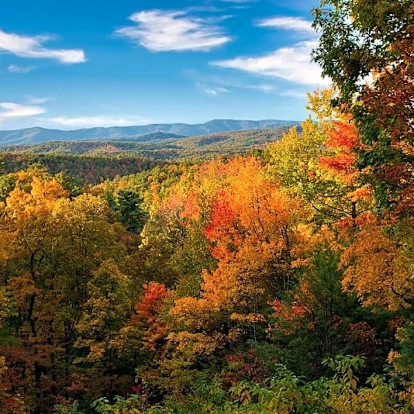 El Niño Promises Vibrant Fall Foliage Across U.S.