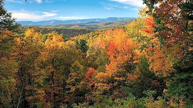 El Niño Promises Vibrant Fall Foliage Across U.S.