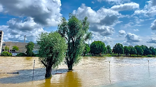 Moderate Flooding Persists Along Wapsipinicon River