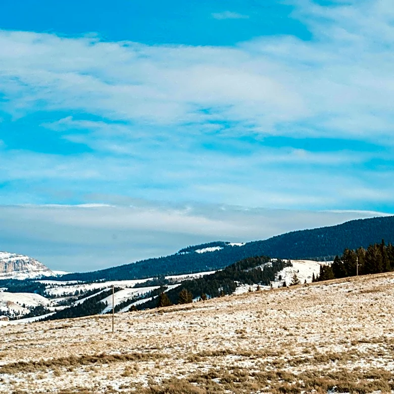 Wyoming Faces Crop Freeze Amid Cold Snap