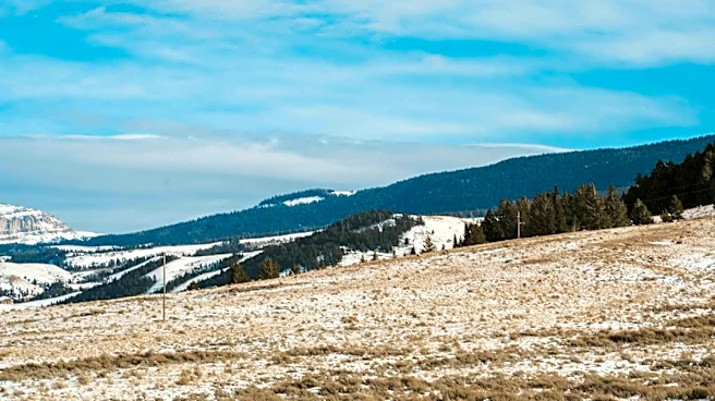 Wyoming Faces Crop Freeze Amid Cold Snap