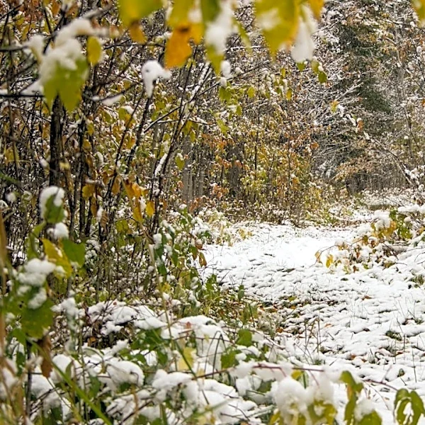 Near-Record Warmth in Minnesota Before Big Cooldown