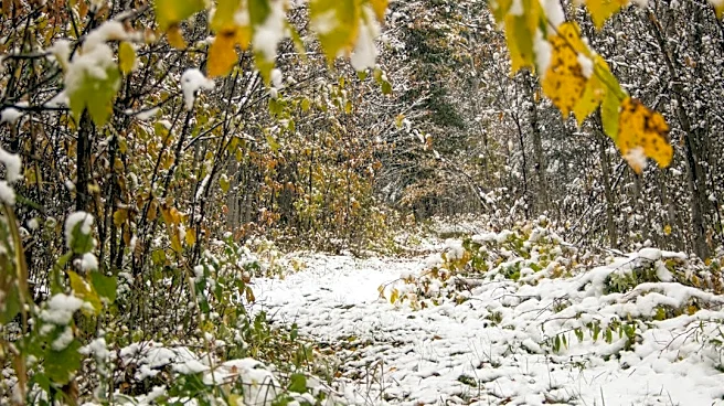 Near-Record Warmth in Minnesota Before Big Cooldown
