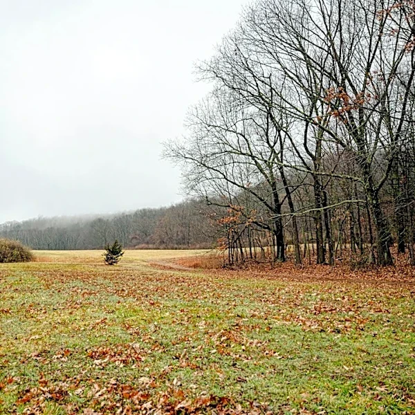 Connecticut Braces for Chilly Weekend with Frost Risk