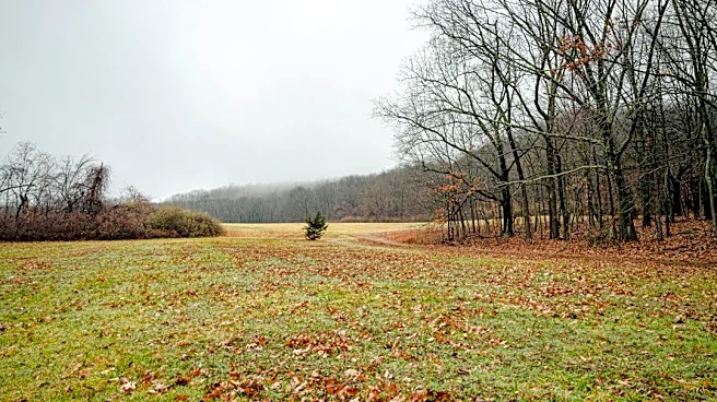 Connecticut Braces for Chilly Weekend with Frost Risk