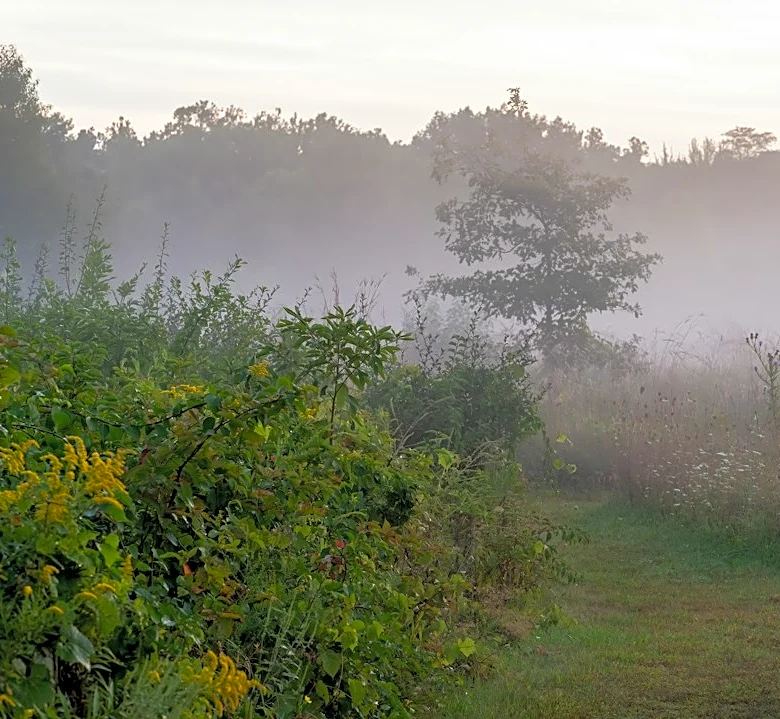 Fog Causes School Delays in Ohio, Warmer Temps Ahead