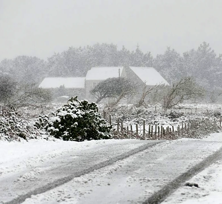 Louisiana Prepares for Winter Weather Hazards