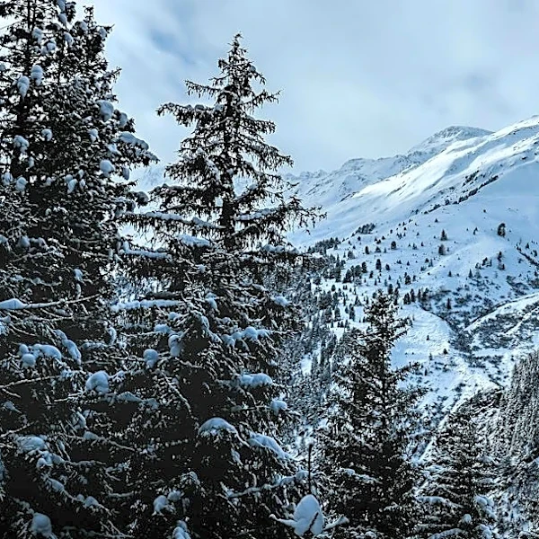 US Winter Forecast Highlights Regional Cold Trends