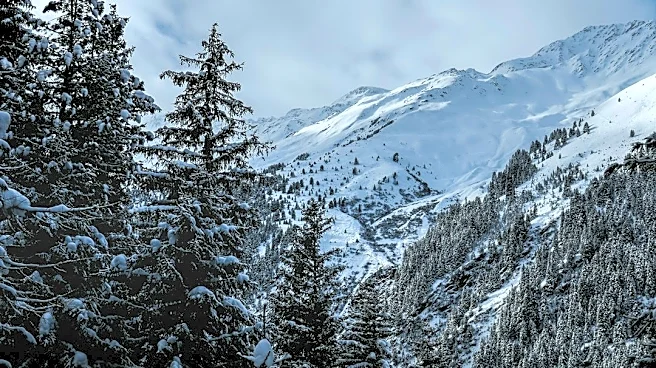 US Winter Forecast Highlights Regional Cold Trends