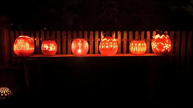 How Weather Affects Pumpkin Carving and Display