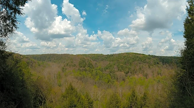 Understanding Fire Danger Levels and Safety in Jefferson County