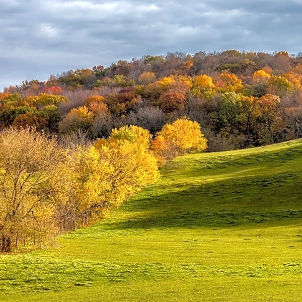 Chilly Air Mass and Frost Expected in Iowa