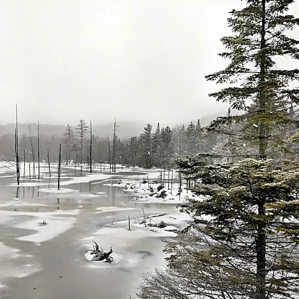 Historic El Niño to Impact Northern New York Winter