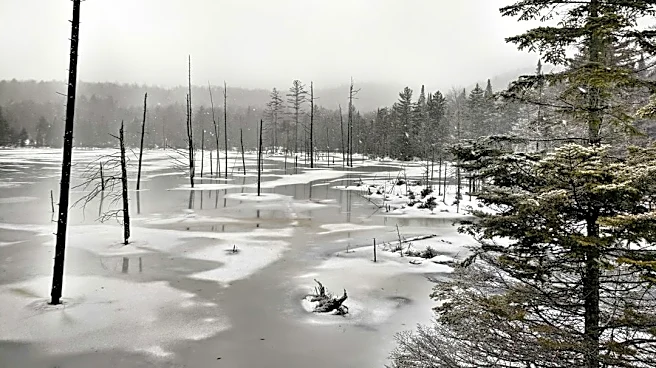 Historic El Niño to Impact Northern New York Winter