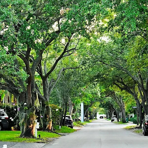 Urban Heat Debate Highlights Cooling Challenges