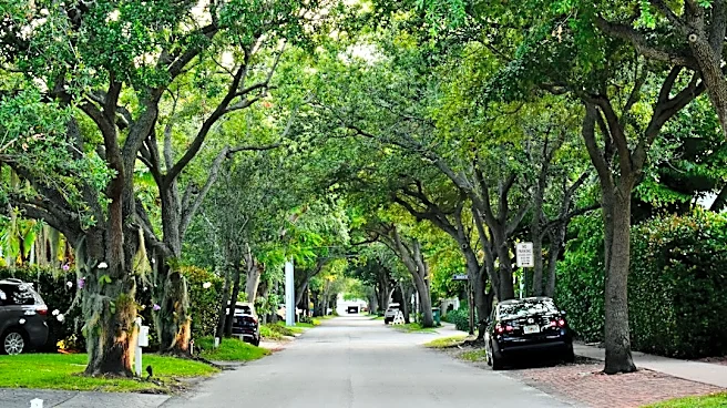 Urban Heat Debate Highlights Cooling Challenges
