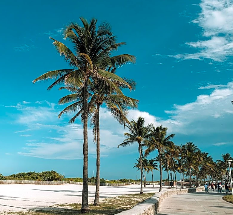 Warm October Weather in Florida: Ideal for Visitors