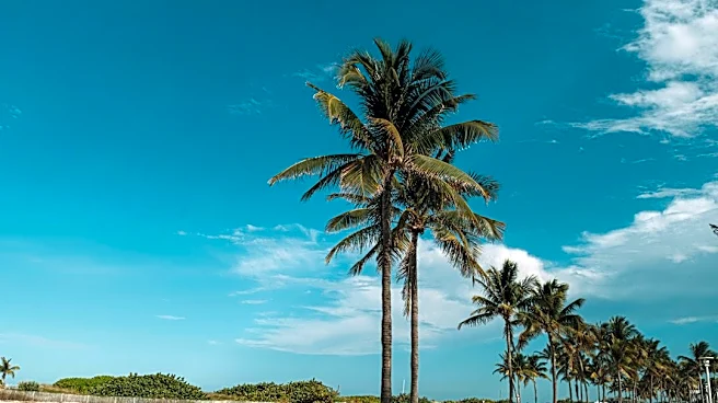 Warm October Weather in Florida: Ideal for Visitors