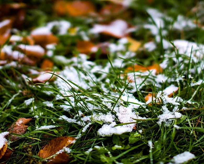 Northeast Braces for Season’s Coldest Air and Possible Snow