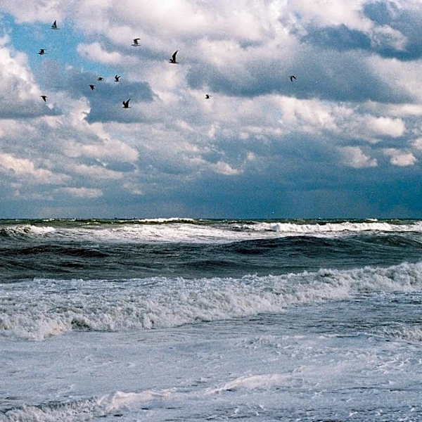 San Diego Faces High Surf, Coastal Flood Warnings