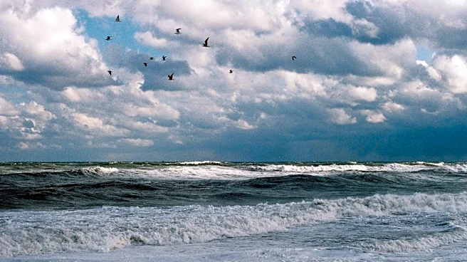 San Diego Faces High Surf, Coastal Flood Warnings