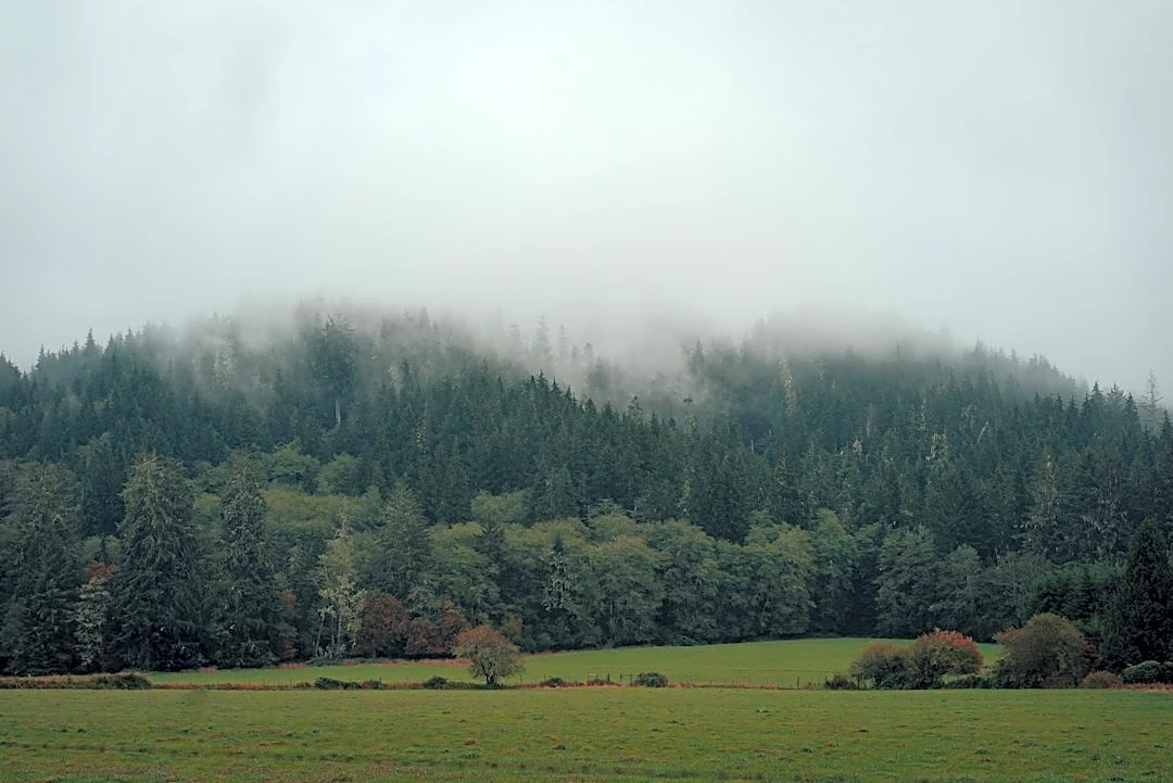 Frost Advisory Issued for Oregon and Washington