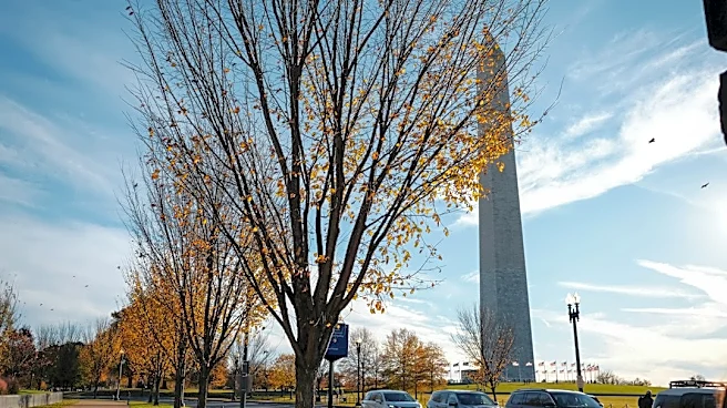 Record Heat Possible in Washington, D.C. This Wednesday