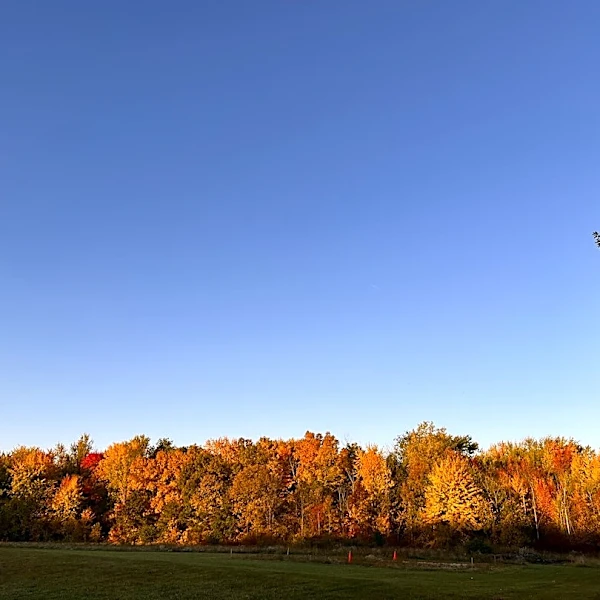 How to Stay Safe During Sudden Fall Temperature Drops