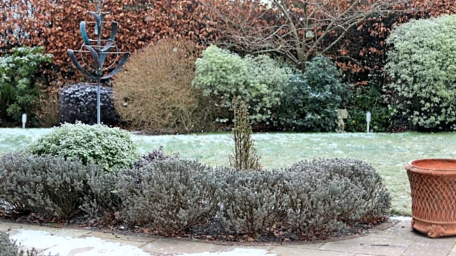 How to Prepare Your Garden for the First Frost