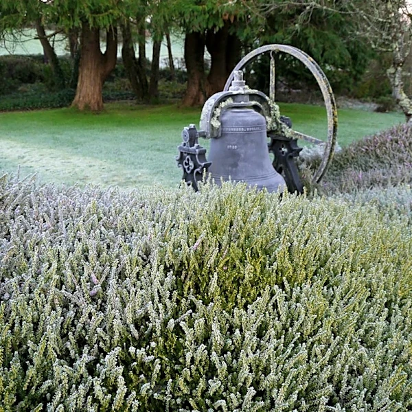 Understanding Frost Advisories, Freeze Warnings, and Hard Freezes