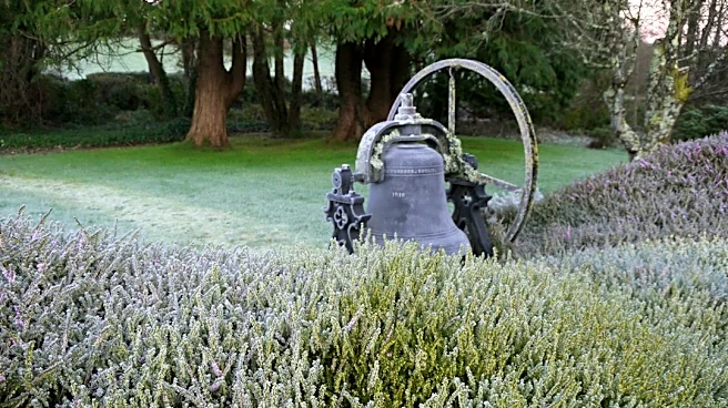 Understanding Frost Advisories, Freeze Warnings, and Hard Freezes