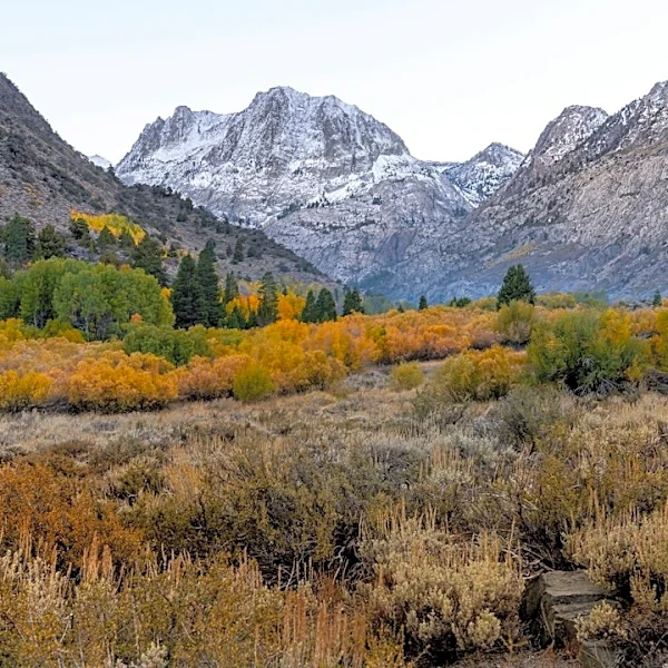 Understanding Fall Weather Patterns: Frost, Snow, and Temperature Swings