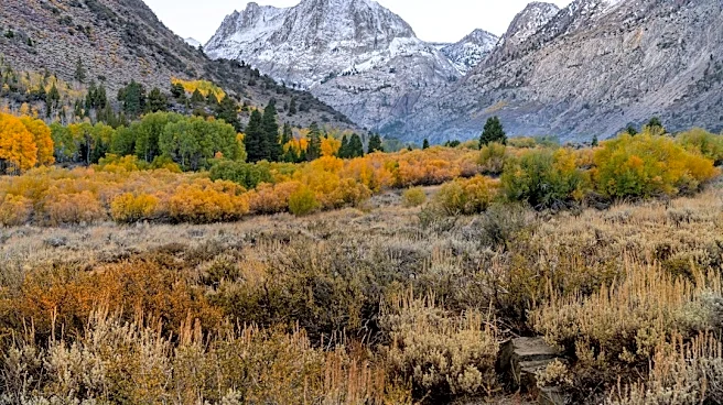 Understanding Fall Weather Patterns: Frost, Snow, and Temperature Swings