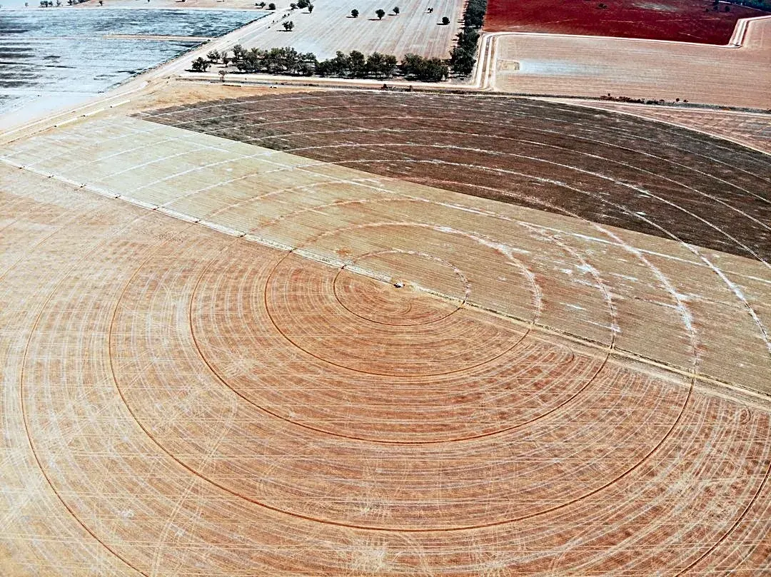 Drought Affects 35.8% of U.S. Amid Growing Concerns