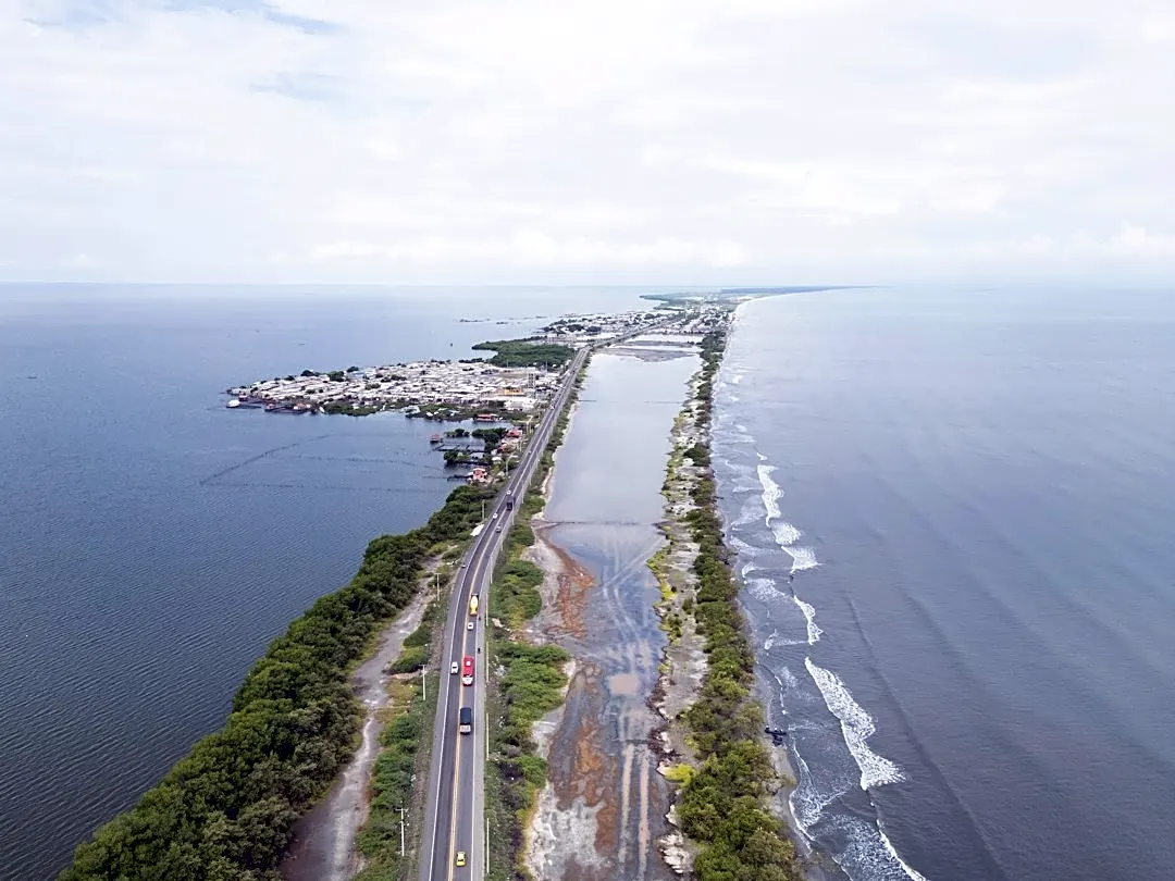 Florida Communities Tackle Flooding With Nature-Based Designs