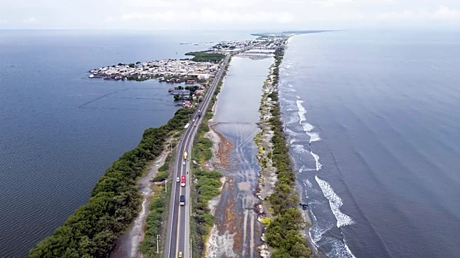 Florida Communities Tackle Flooding With Nature-Based Designs