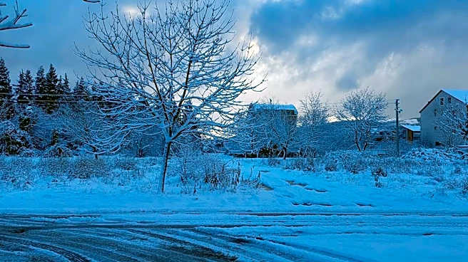 Prepare Your Home for Winter Storms Now